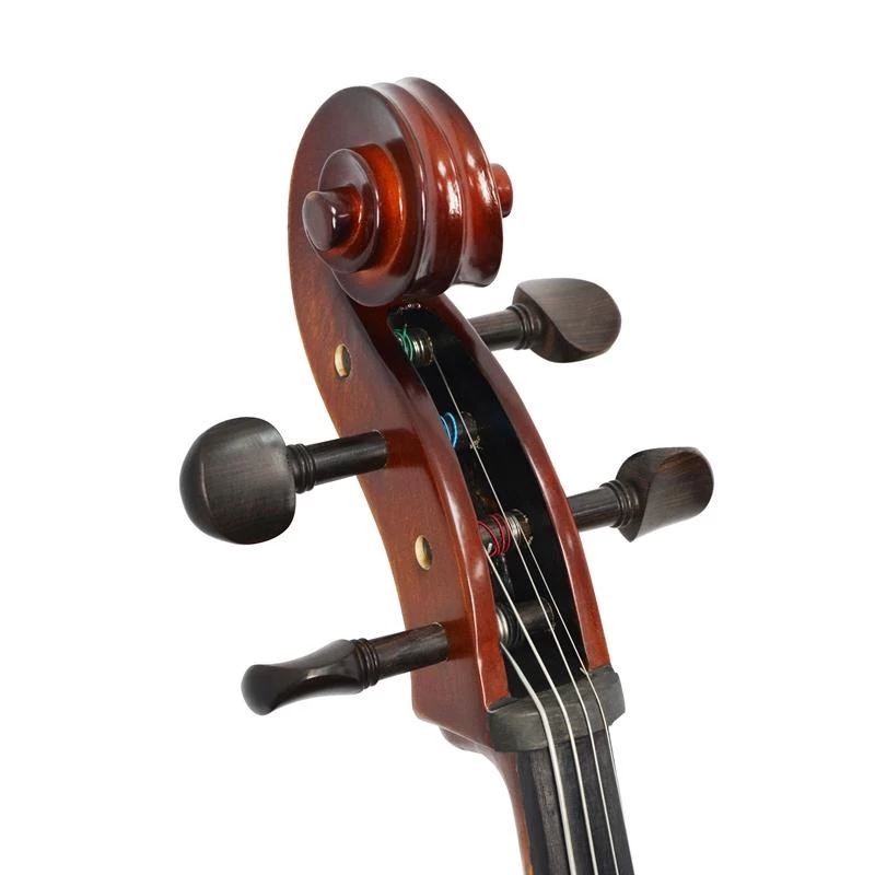 Forenza Prima 2 Cello Outfit - 1/8 Size - Image 5