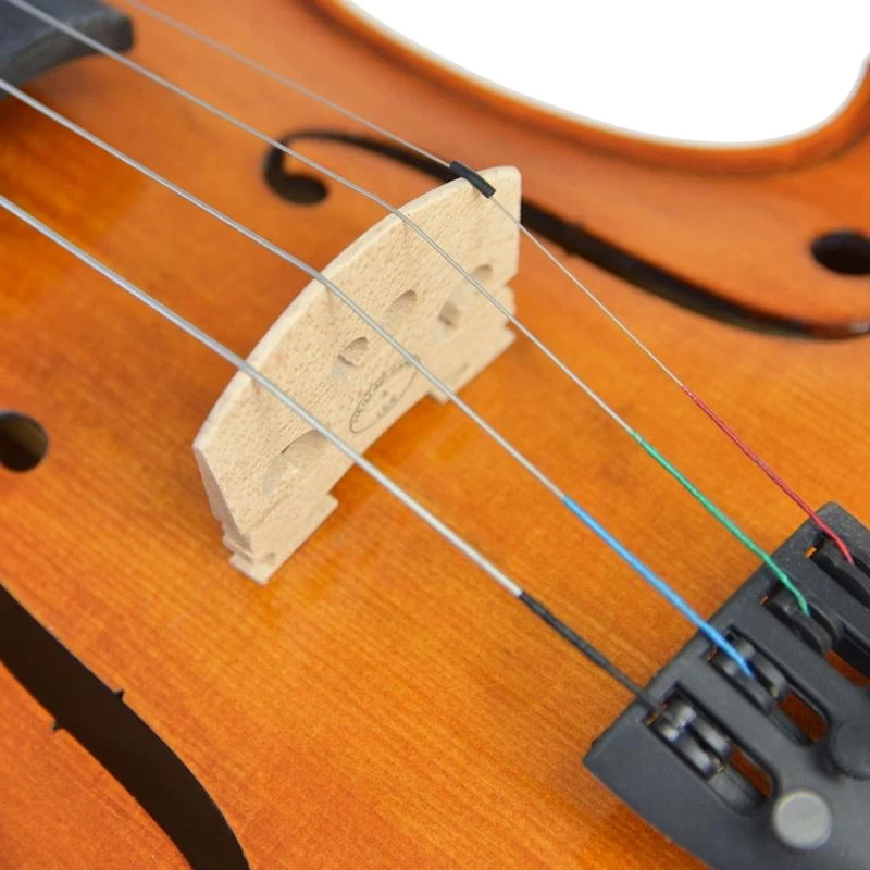 Forenza Prima 2 Viola Outfit - 12 Inch - Image 5