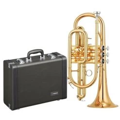Yamaha YCR4330GII Bb Intermediate Cornet In Lacquer