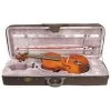 Stentor I 1038 15 1/2 Inch Student Viola Outfit